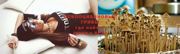 spice Корсаков