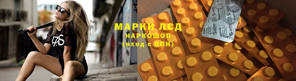 spice Корсаков