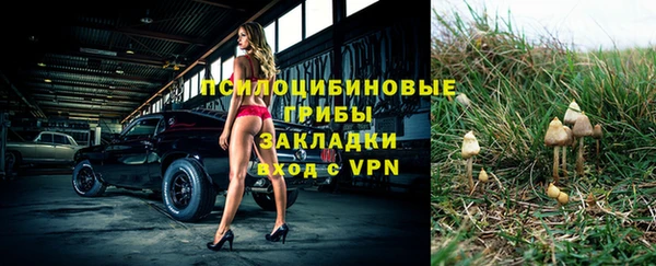 apvp Коряжма