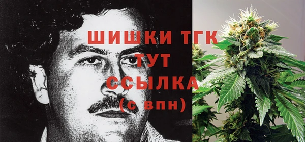 прущие крисы Яранск