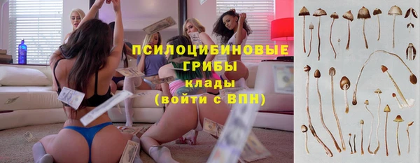 spice Корсаков