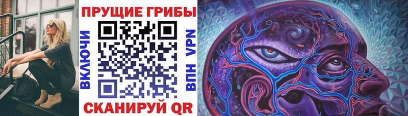 закладка  гидра как зайти  Галлюциногенные грибы прущие грибы  Орехово-Зуево 