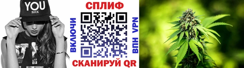 как найти наркотики  Орехово-Зуево  Каннабис индика 